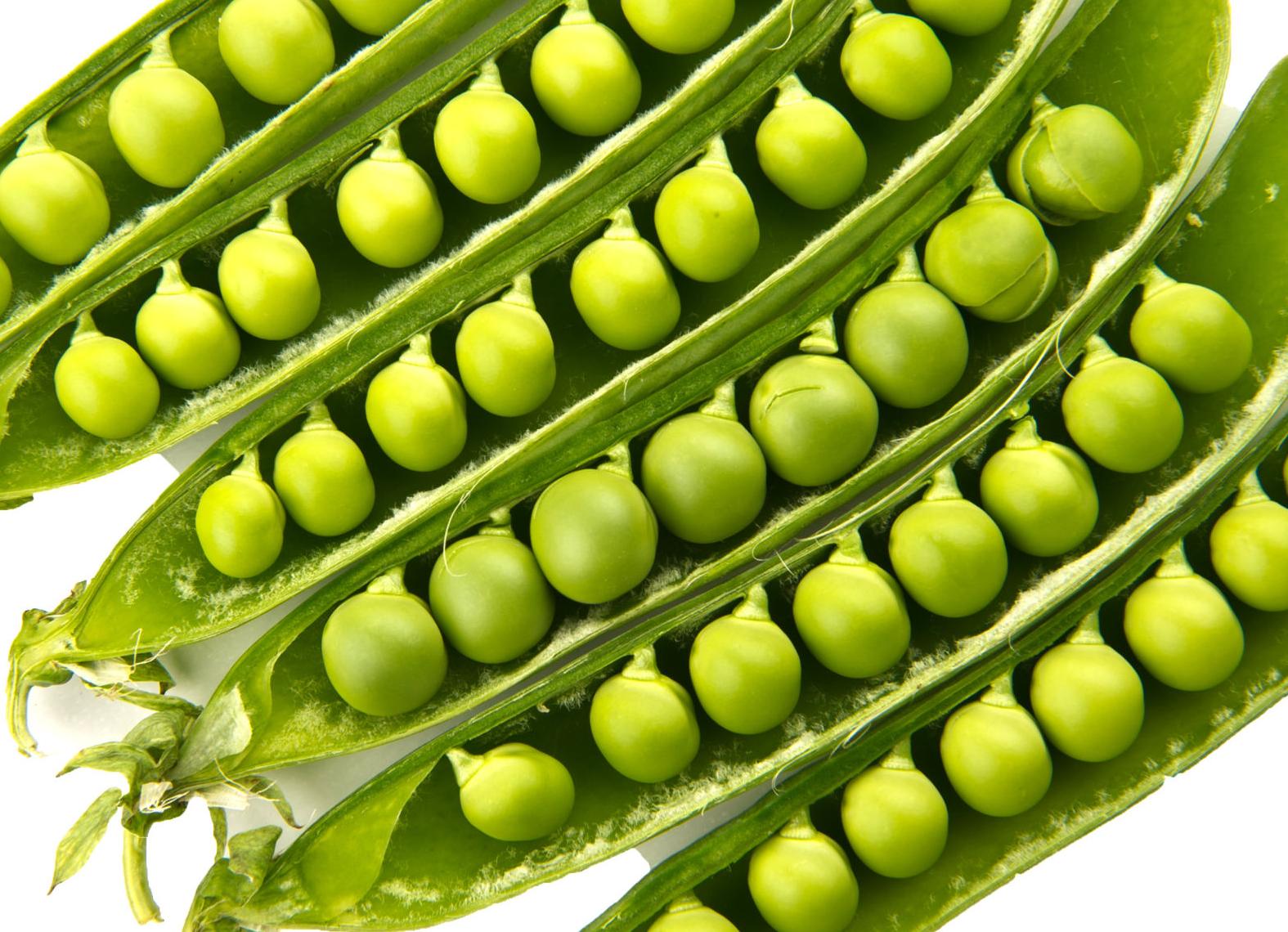 More Thoughts While Weeding: Peas for the Fourth